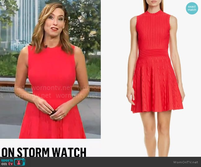 Ted Baker Kamylia Scallop Knit Skater Dress worn by Stephanie Abrams on CBS Mornings