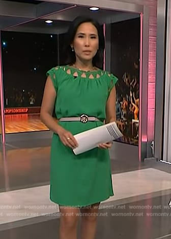 Vicky’s green embroidered shift dress on NBC News Daily