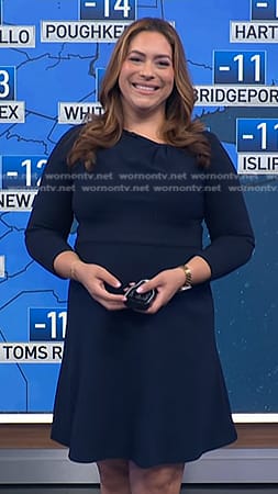 Violeta’s navy asymmetric neck flare dress on NBC News Daily