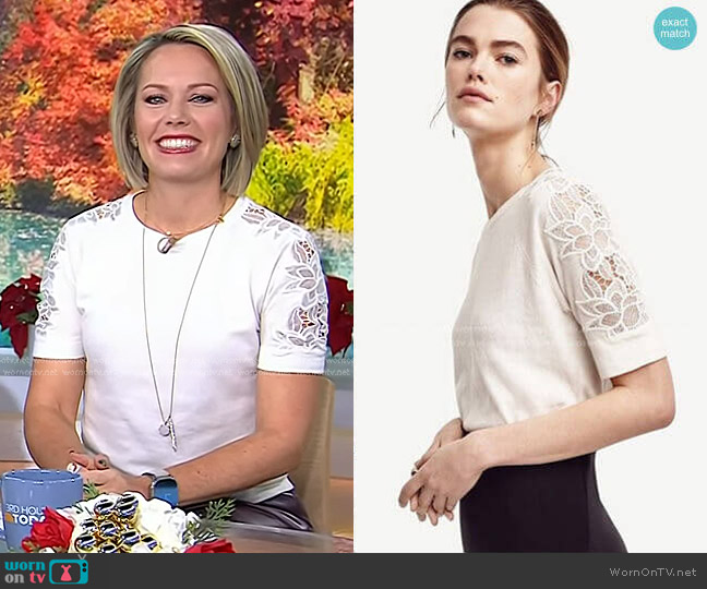 Ann Taylor Lace Sleeve Sweater Tee worn by Dylan Dreyer on Today