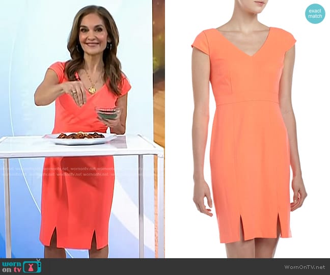 Marc New York by Andrew Marc V-Neck Orange Dress worn by Joy Bauer on Today