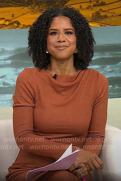 Adriana Diaz’s rust brown long sleeve maxi dress on CBS Mornings
