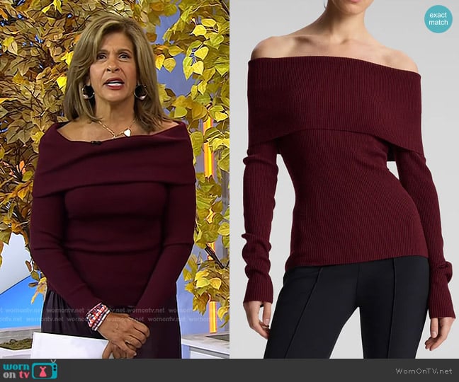 A.L.C. Evelyn Sweater in Burgundy worn by Hoda Kotb on Today