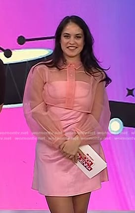 Donna’s pink sheer cropped top on Today