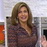 Hoda’s brown zig zag stripe shirtdress on Today