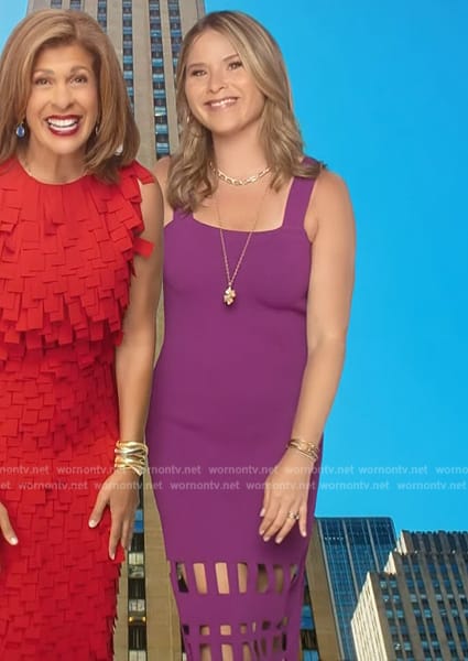 Jenna’s purple opening scene dress on Today