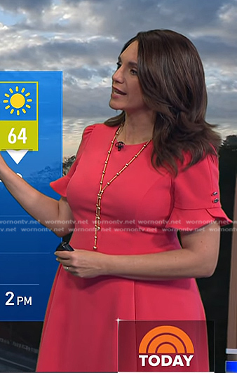 Maria’s pink ruffle sleeve dress on Today