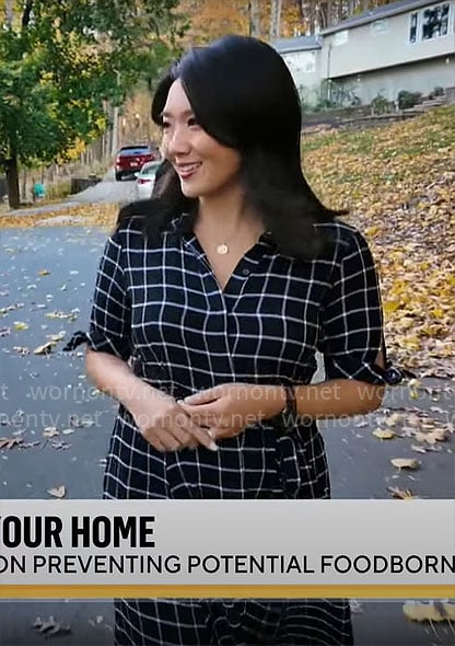 Nancy Chen’s black checked shirtdress on CBS Mornings