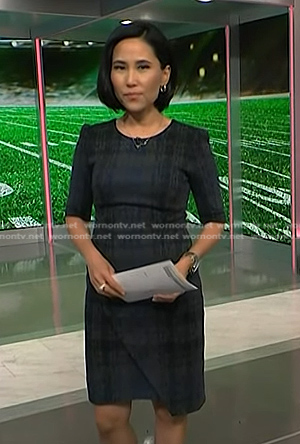 Vicky’s grey plaid dress on NBC News Daily