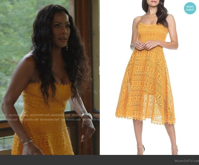 Dress the Population Brenna Sleeveless Lace Fit & Flare Midi Dress worn by Stacey Rusch on The Real Housewives of Potomac