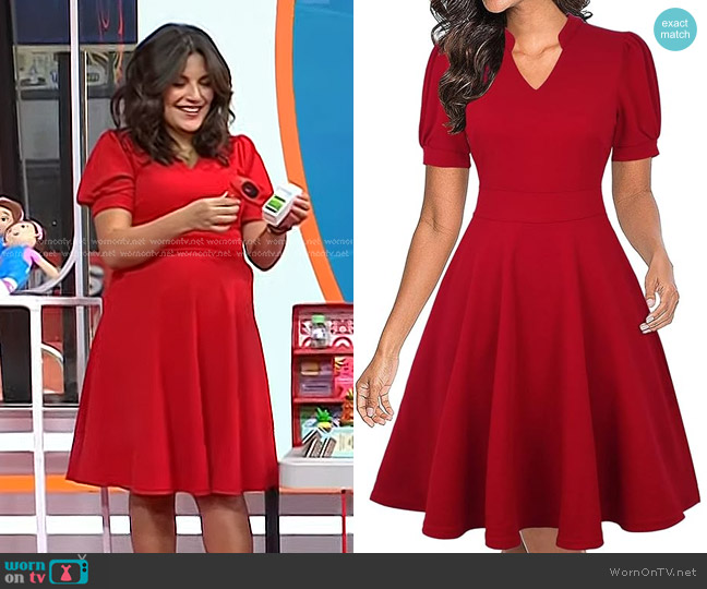 Mokayee Short Puff Sleeve Fit and Flare Dress worn by Adrianna Barrionuevo Brach on Today