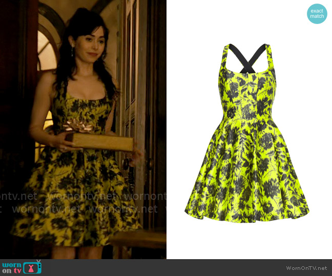 Philosophy di Lorenzo Serafini Floral Mini Dress worn by Sofia Falcone (Cristin Milioti) on The Penguin