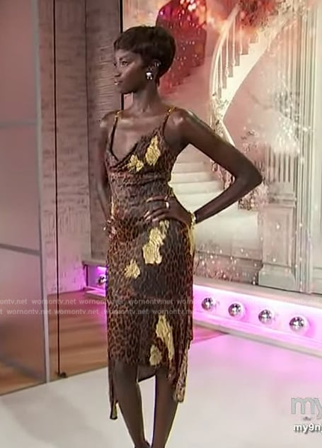 Anok Yai’s leopard print sheer dress on Sherri