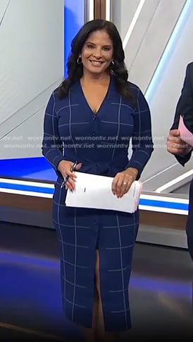 Darlene’s blue windowpane dress on Today