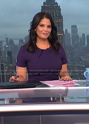 Darlene’s purple velvet inset dress on Today