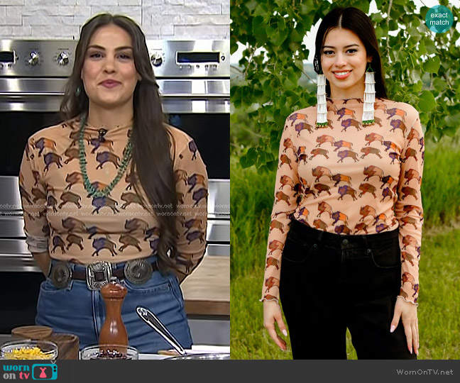 Lauren Good Day Bison Mesh Top worn by Stephanie Pyetwetmokwe DeSpain on Today