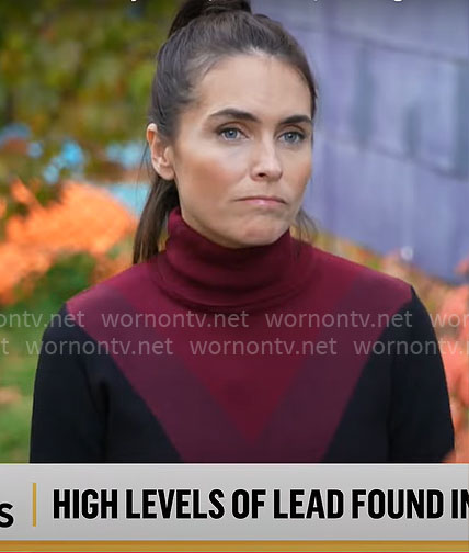 Lilia Luciano’s chevron colorblock turtleneck sweater on CBS Mornings