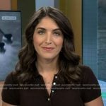 Liz’s brown polo dress on Today