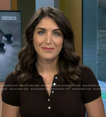 Liz’s brown polo dress on Today