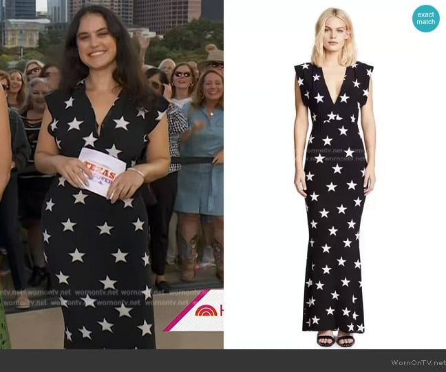 Norma Kamali V Neck Rectangle Gown worn by Donna Farizan on Today
