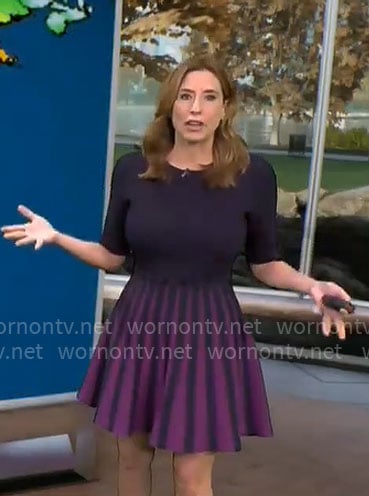 Stephanie Abrams’ navy dress with purple stripes on CBS Mornings