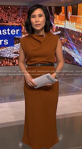 Vicky’s brown belted dress on NBC News Daily