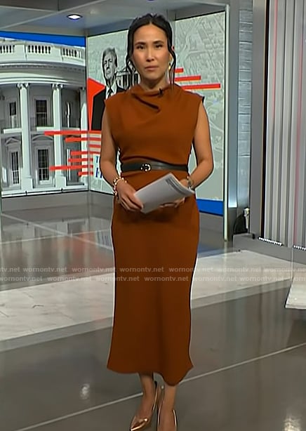 Vicky’s brown belted dress on NBC News Daily