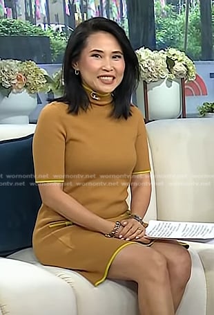 Vicky’s brown turtleneck dress on Today