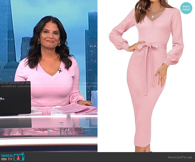 HAEOF Ribbed Knit V Neck Sweater Dress in Pink worn by Darlene Rodriguez on Today