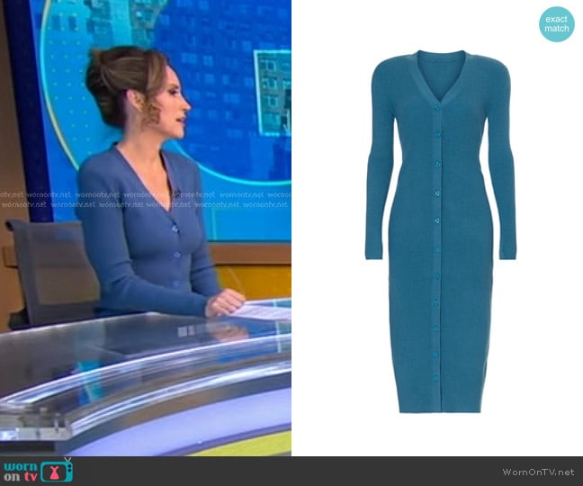 Ronny Kobo Collective Knit Dress in Blue worn by Rhiannon Ally on Good Morning America
