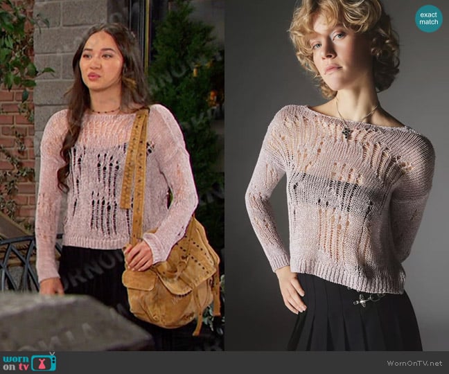 Silence + Noise Nora Sparkly Open-Knit Sweater worn by Sophia Choi (Madelyn Kientz) on Days of our Lives