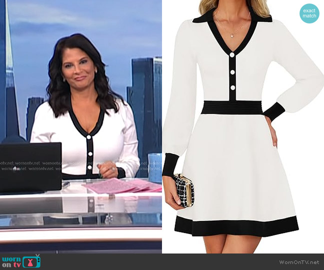 ZESICA Long Sleeve V Neck Sweater Dress worn by Darlene Rodriguez on Today