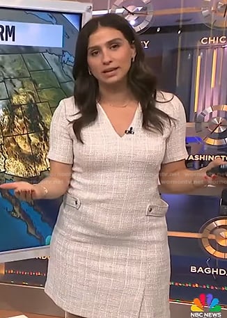Angie Lassman’s light beige tweed dress on NBC News