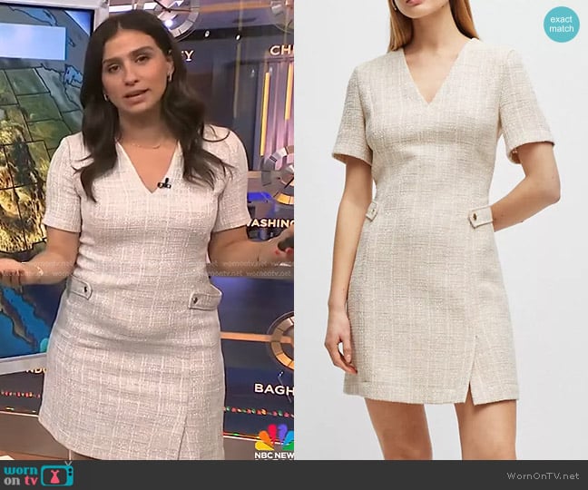 Boss V-Neck Dress in Melange Tweed in Beige worn by Angie Lassman on NBC News Daily