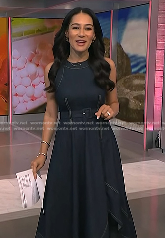 Morgan’s belted denim dress on NBC News Daily