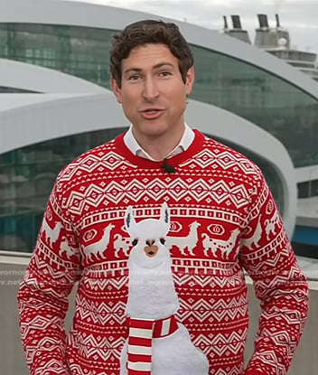 Sam Brock’s red liama sweater on Today