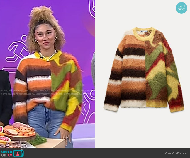 Zara Oversize Jacquard Knit Sweater worn by Ally Love on Today