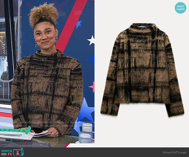 Zara Plaid Jacquard Knit Sweater in Black/Brown worn by Ally Love on Today
