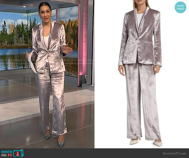 Paige Kriselle Velvet Blazer in Pewter worn by Morgan Radford on NBC News Daily