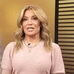 Kit’s pink pointelle short sleeve sweater on Access Hollywood