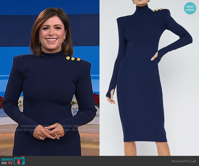 L'Agence Larelle Dress in Midnight Gold Rose worn by Chloe Melas on Today