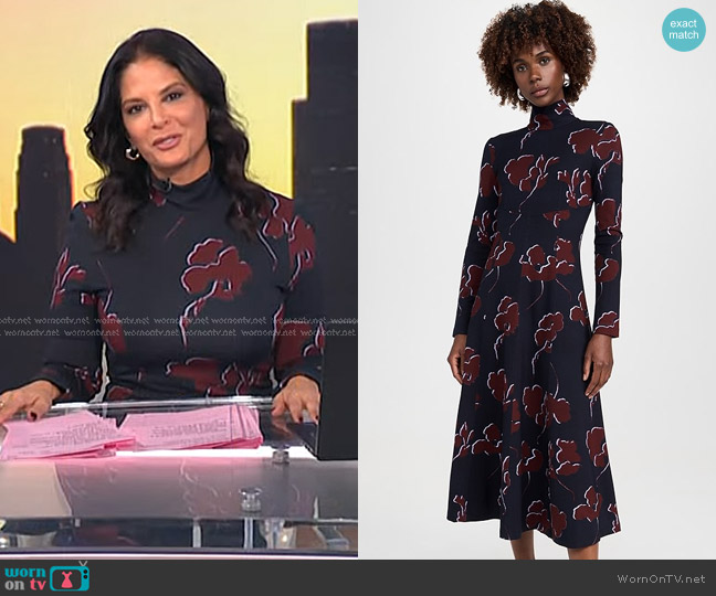 Tanya Taylor Thea Dress in Dark Navy/Mulberry Multi worn by Darlene Rodriguez on Today