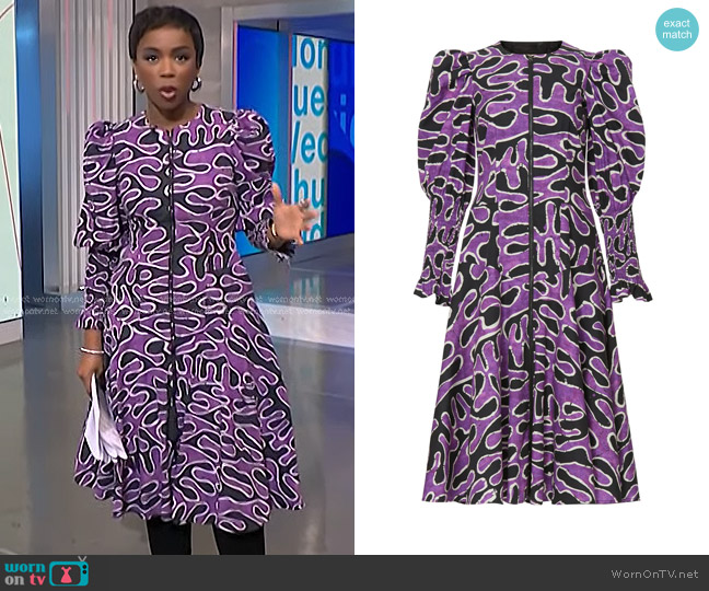 Busayo Collective Zip Front Midi Dress worn by Zinhle Essamuah on NBC News Daily