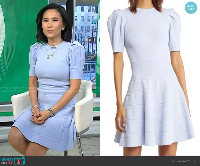 Ted Baker Velvey Puff Sleeve Knit Dress in Baby Blue worn by Vicky Nguyen on Today