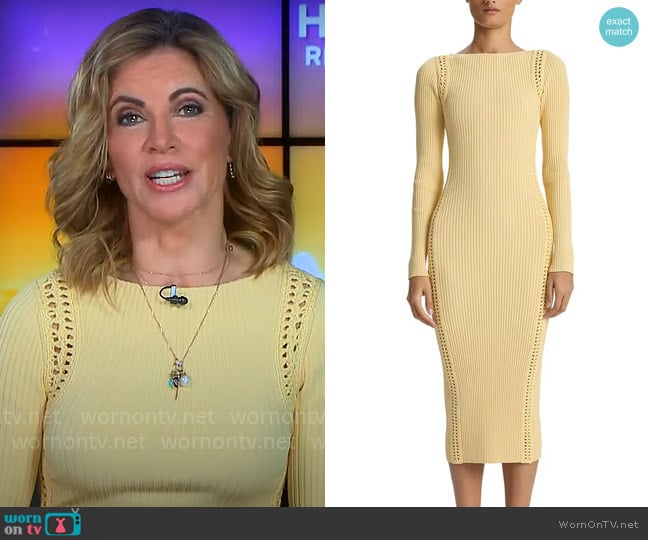 ALC Isa Dress in Au Lait worn by Natalie Morales on CBS Mornings