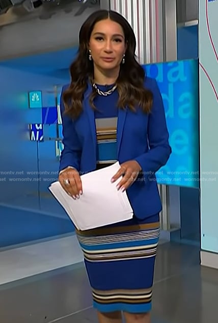 Morgan’s blue striped dress on NBC News Daily