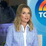 Savannah’s blue sequin striped shirt on Today