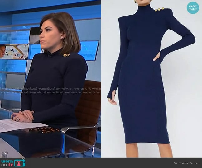 L'Agence Larelle Dress in Midnight Gold Rose worn by Chloe Melas on NBC News Daily