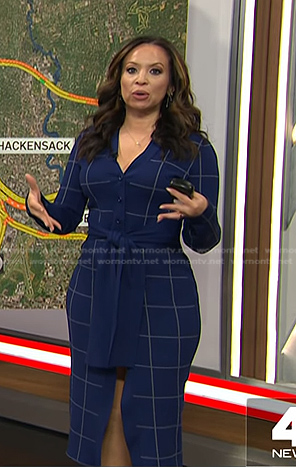 Adelle’s blue windowpane dress on Today