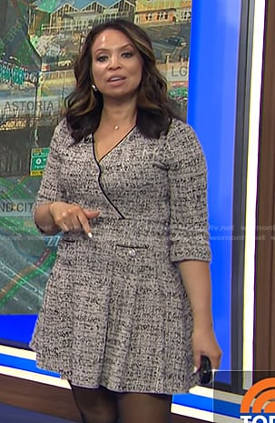 Adelle’s grey tweed mini dress on Today